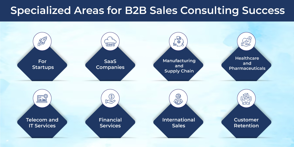 Areas in Which a B2B Sales Consultant Can Offer Expertise